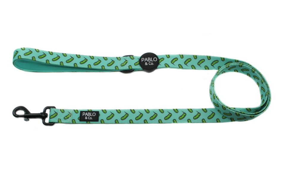 PABLO & CO PICKLES DOG LEASH