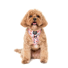 Load image into Gallery viewer, PABLO &amp; CO PINK RAINBOWS ADJUSTABLE HARNESS
