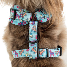 Load image into Gallery viewer, PABLO &amp; CO ROLLER SKATES ADJUSTABLE HARNESS
