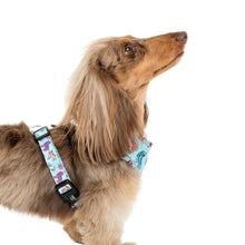 Load image into Gallery viewer, PABLO &amp; CO ROLLER SKATES ADJUSTABLE HARNESS
