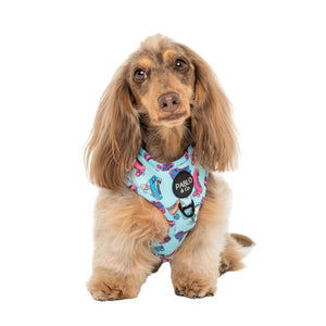 PABLO & CO ROLLER SKATES ADJUSTABLE HARNESS