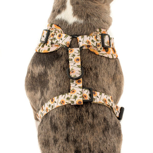 PABLO & CO SUNFLOWER ADJUSTABLE HARNESS