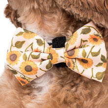 Load image into Gallery viewer, PABLO &amp; CO SUNFLOWER BOW TIE
