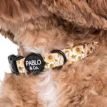 Load image into Gallery viewer, PABLO &amp; CO SUNFLOWER COLLAR
