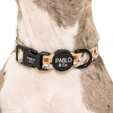 Load image into Gallery viewer, PABLO &amp; CO SUNFLOWER COLLAR
