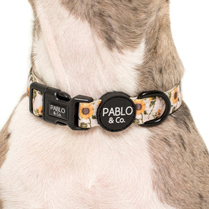 PABLO & CO SUNFLOWER COLLAR