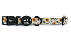 PABLO & CO SUNFLOWER COLLAR