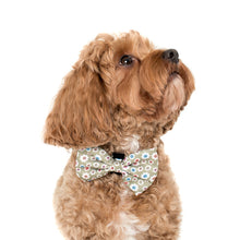 Load image into Gallery viewer, PABLO &amp; CO SMILEY FLOWERS BOW TIE
