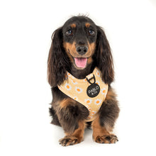 Load image into Gallery viewer, PABLO &amp; CO YELLOW DAISY ADJUSTABLE HARNESS
