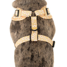 Load image into Gallery viewer, PABLO &amp; CO YELLOW DAISY ADJUSTABLE HARNESS
