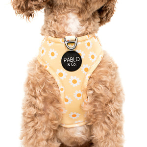 PABLO & CO YELLOW DAISY ADJUSTABLE HARNESS