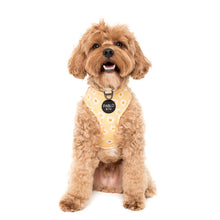 Load image into Gallery viewer, PABLO &amp; CO YELLOW DAISY ADJUSTABLE HARNESS
