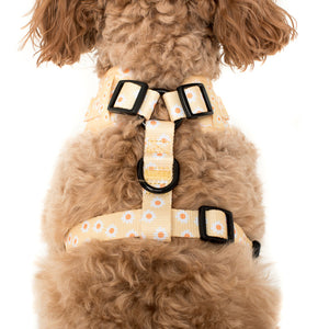 PABLO & CO YELLOW DAISY ADJUSTABLE HARNESS