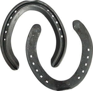 ODWYER PERMORMA HIND HORSESHOES