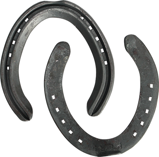 ODWYER PERMORMA HIND HORSESHOES