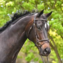 Load image into Gallery viewer, PESSOA LEGACY PADDED RAISED BRIDLE WITH EAR RELIEF
