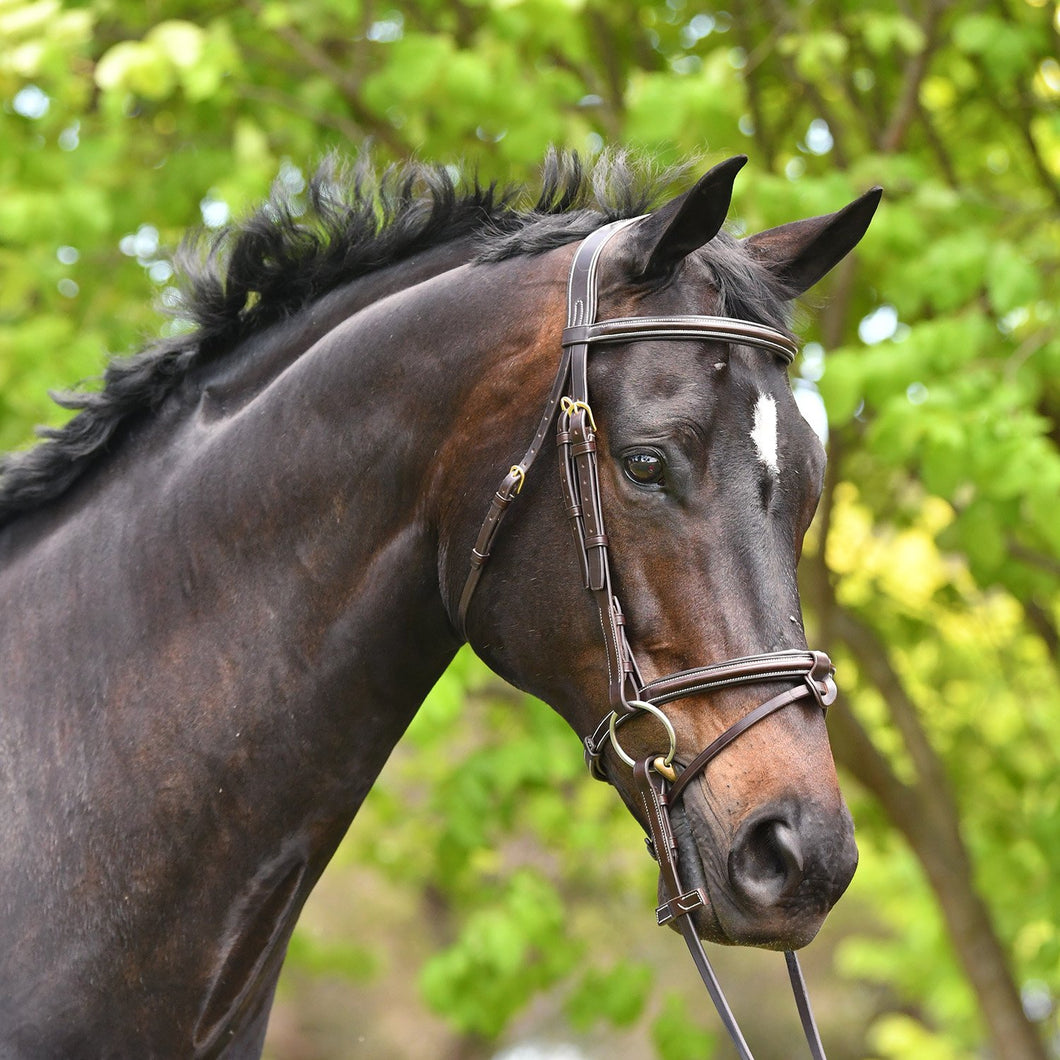 Pessoa Legacy Padded Raised Bridle with Ear Relief