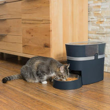 Load image into Gallery viewer, PETSAFE SMART FEED AUTOMATIC PET FEEDER
