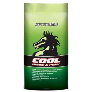 Cool Horse And Pony