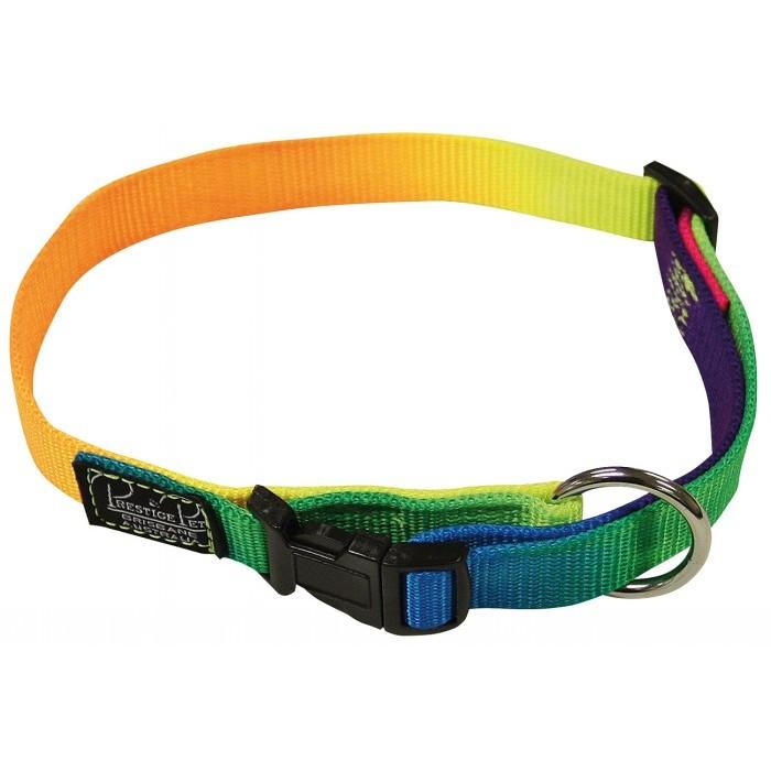PRESTIGE RAINBOW NYLON DOG COLLAR 3/4