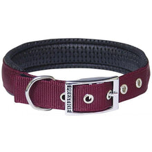 Load image into Gallery viewer, Prestige Soft Padded Dog Collar 1 Inch
