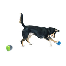 Load image into Gallery viewer, PETSAFE RICOCHET ELECTRONIC DOG TOY
