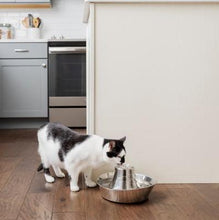 Load image into Gallery viewer, PETSAFE SEASIDE STAINLESS STEEL PET FOUNTAIN
