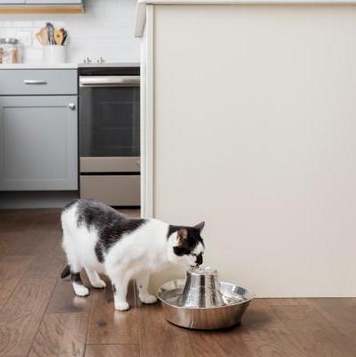 PETSAFE SEASIDE STAINLESS STEEL PET FOUNTAIN