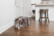 Load image into Gallery viewer, PETSAFE SEASIDE STAINLESS STEEL PET FOUNTAIN
