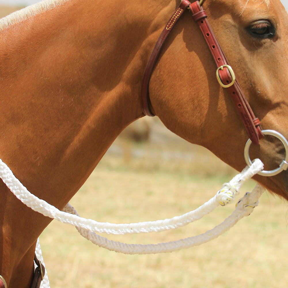 AUSTRALIAN STOCKMANS BRAIDED ROPE CAMPDRAFT REIN