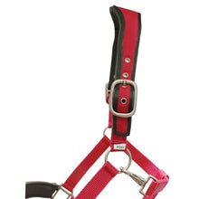 Load image into Gallery viewer, RANCHER EAR RELIEF HALTER
