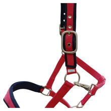 Load image into Gallery viewer, RANCHER EAR RELIEF HALTER
