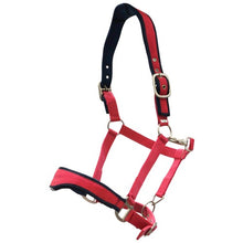 Load image into Gallery viewer, RANCHER EAR RELIEF HALTER
