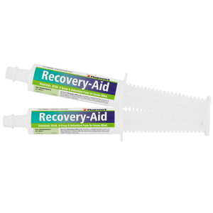 RANVET RECOVERY DRENCH PASTE
