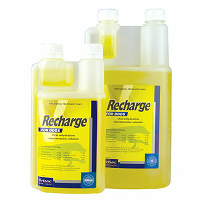 RECHARGE FOR DOGS