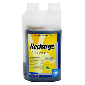 Recharge Rehydration