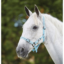 Load image into Gallery viewer, ROMA STRIPE HEAD COLLAR
