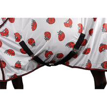 Load image into Gallery viewer, LADY BEETLE MESH COMBO
