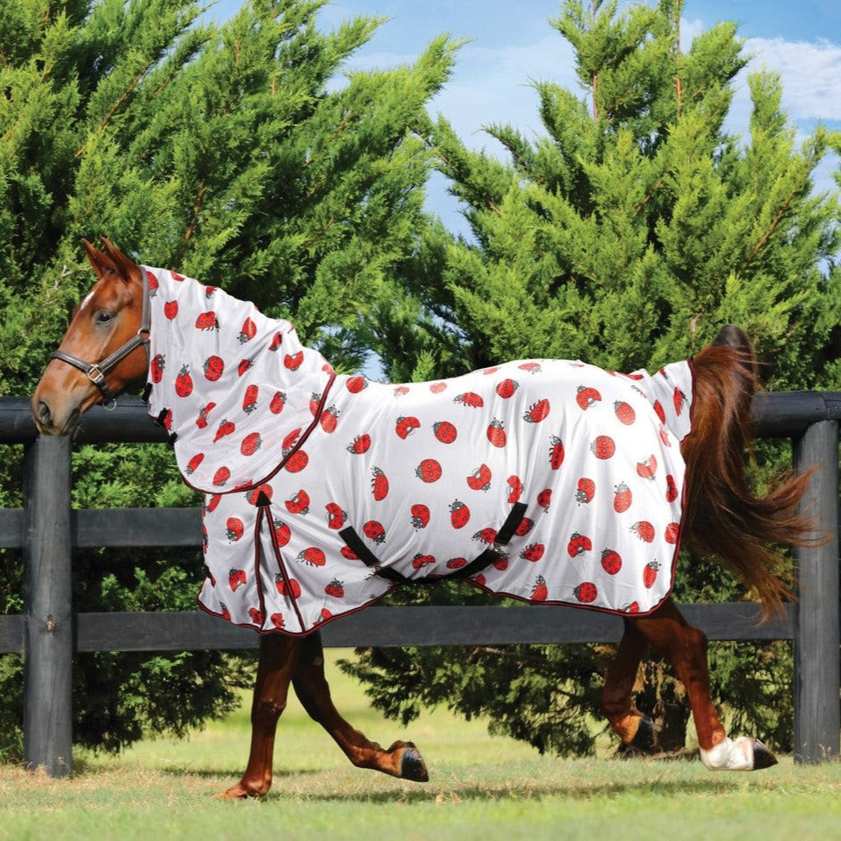 LADY BEETLE MESH COMBO