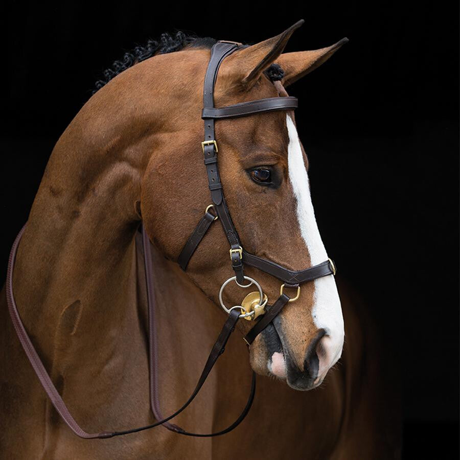 RAMBO MICKLEM COMPETITION BRIDLE