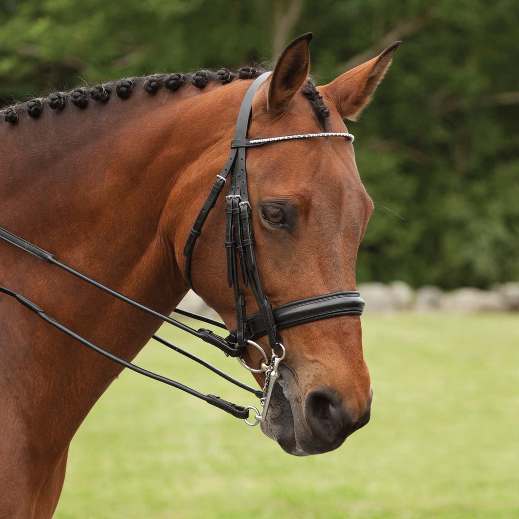 SCHOCKEMOHLE NEWPORT DOUBLE BRIDLE
