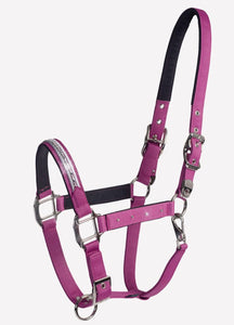 SCHOCKEMOHLE NICE HALTER