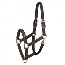 Load image into Gallery viewer, SCHOCKEMÖHLE SPORTS HALTER - MEMPHIS
