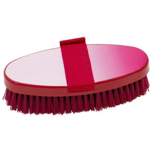 SHOWMASTER IRIDESCENT BODY BRUSH