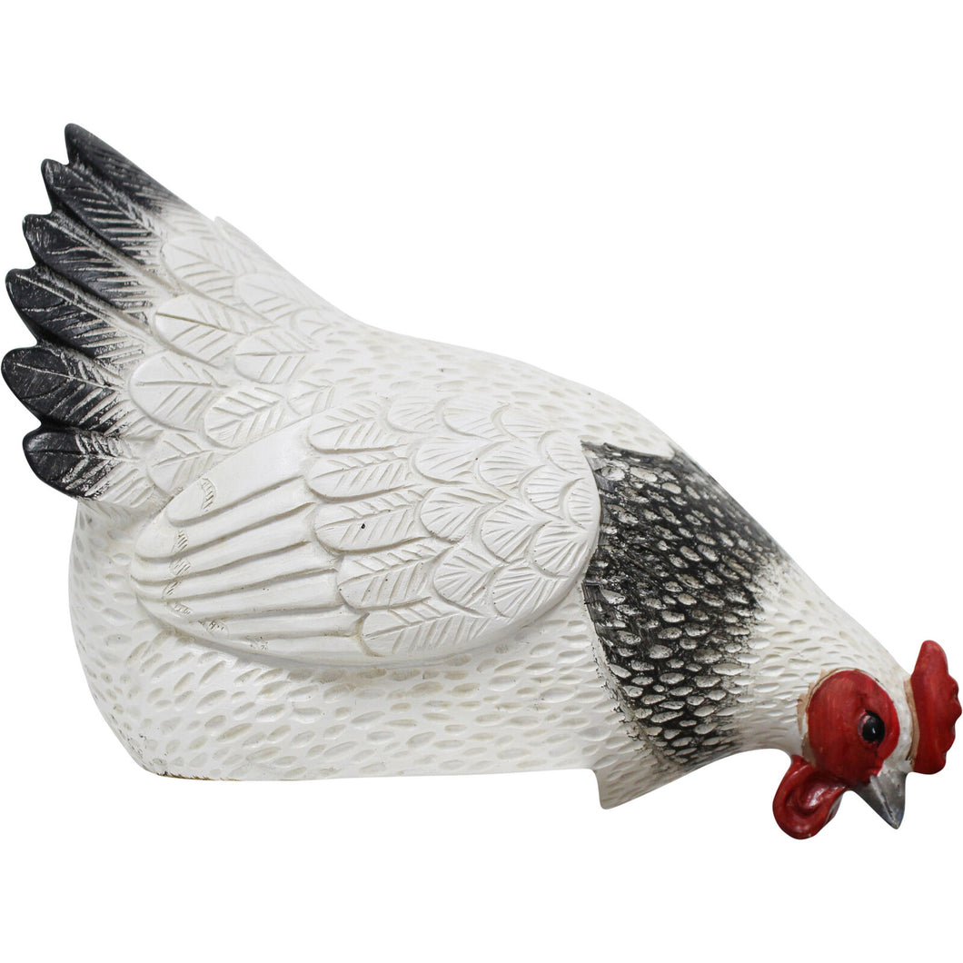 SITTING WHITE HEN