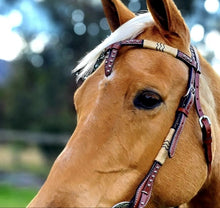 Load image into Gallery viewer, Smooth Like Cactus Cross Over Headstall
