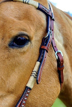 Load image into Gallery viewer, Smooth Like Cactus Cross Over Headstall
