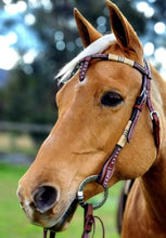Load image into Gallery viewer, Smooth Like Cactus Cross Over Headstall
