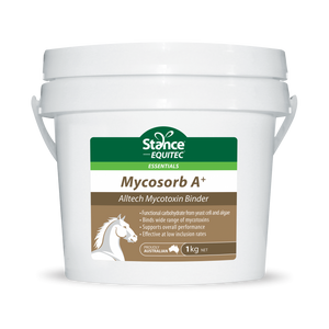 Stance Mycosorb Aplus