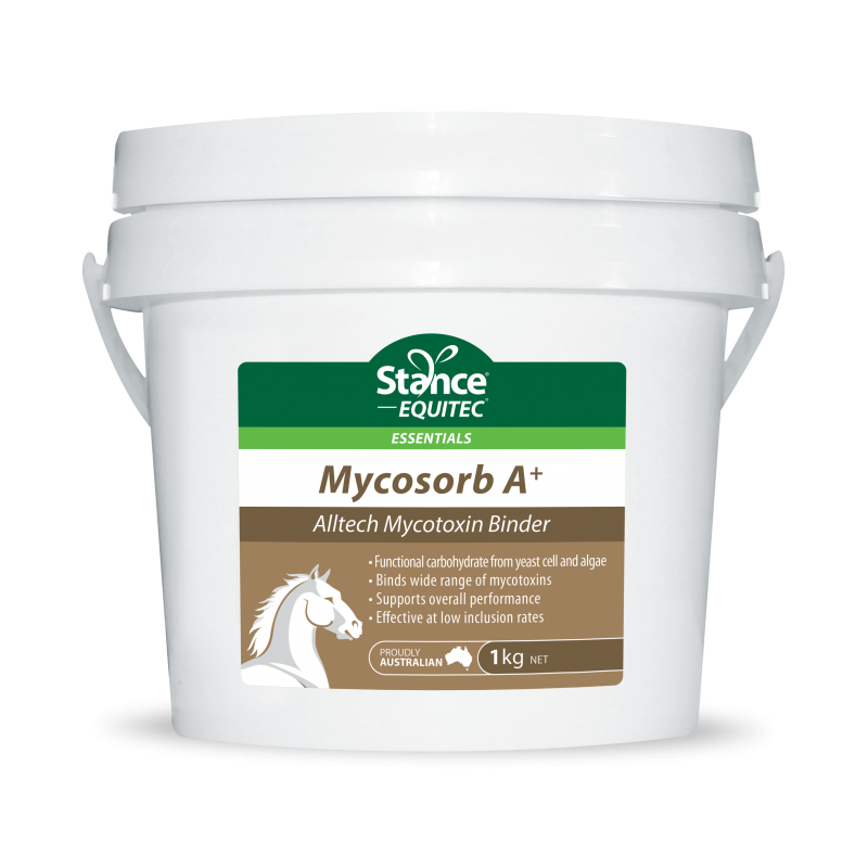 Stance Mycosorb Aplus